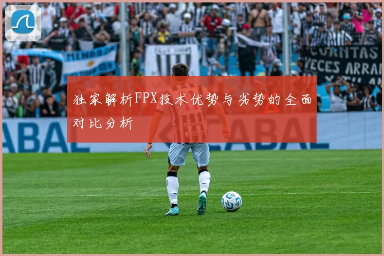 独家解析FPX技术优势与劣势的全面对比分析