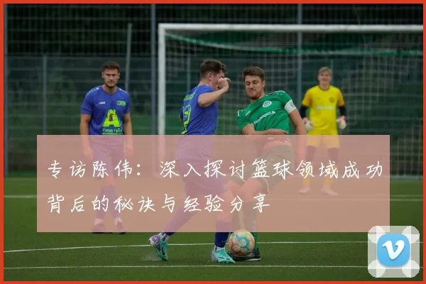 专访陈伟：深入探讨篮球领域成功背后的秘诀与经验分享