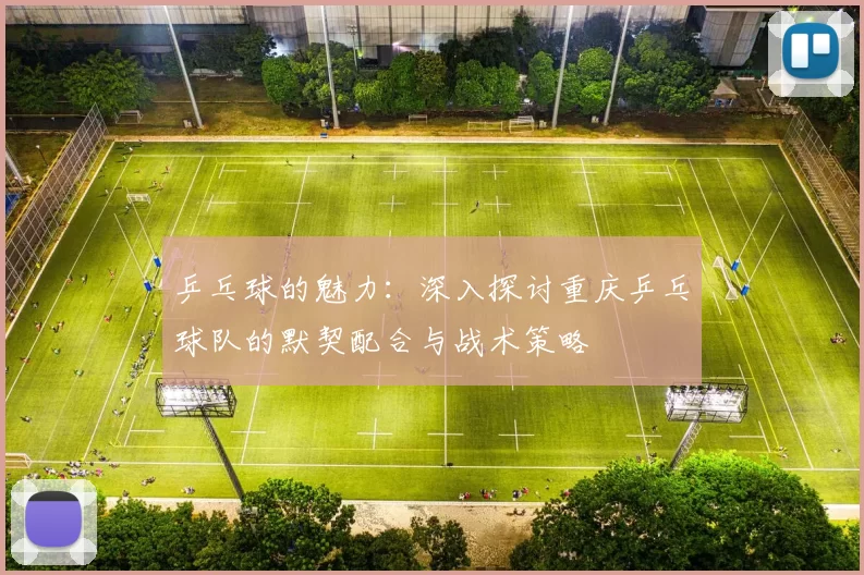 乒乓球的魅力：深入探讨重庆乒乓球队的默契配合与战术策略