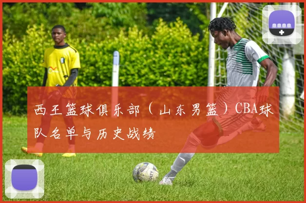西王篮球俱乐部（山东男篮）CBA球队名单与历史战绩