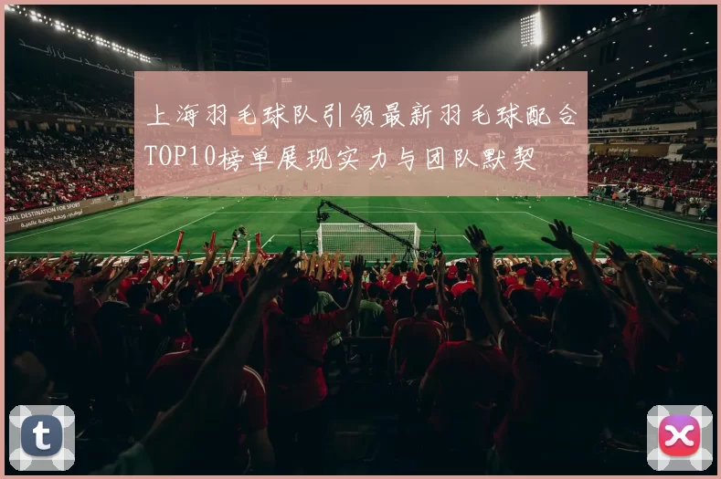上海羽毛球队引领最新羽毛球配合TOP10榜单展现实力与团队默契
