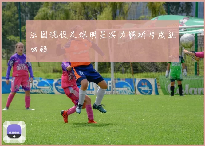 法国现役足球明星实力解析与成就回顾