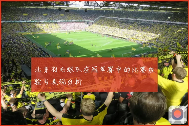 北京羽毛球队在冠军赛中的比赛经验与表现分析