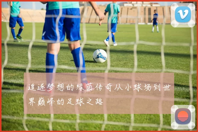 追逐梦想的绿茵传奇从小球场到世界巅峰的足球之路