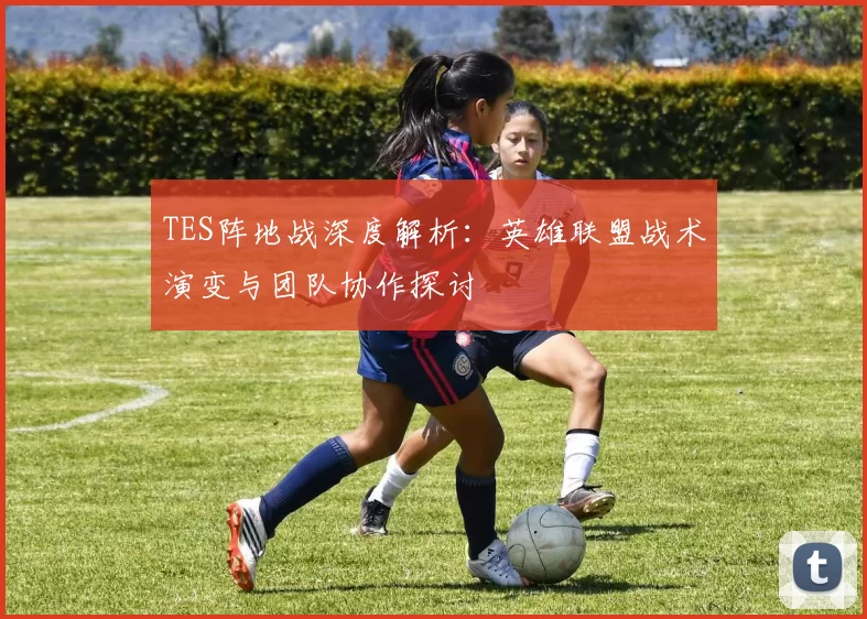 TES阵地战深度解析：英雄联盟战术演变与团队协作探讨