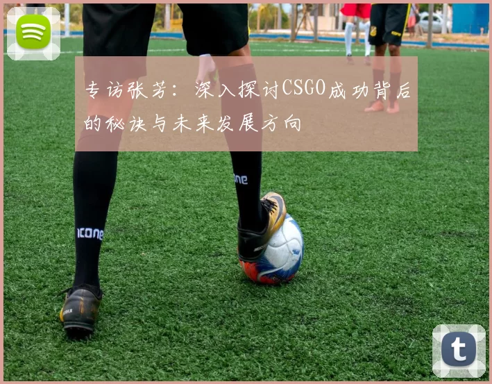 专访张芳：深入探讨CSGO成功背后的秘诀与未来发展方向