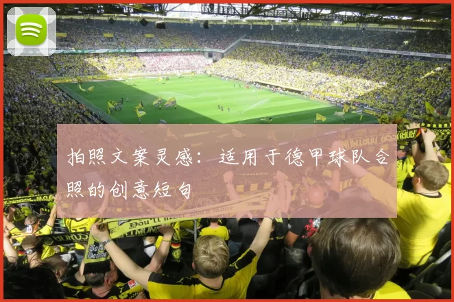 拍照文案灵感：适用于德甲球队合照的创意短句