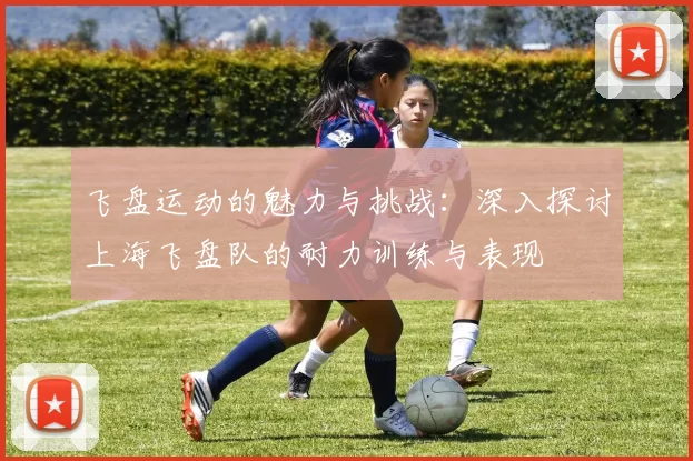 飞盘运动的魅力与挑战：深入探讨上海飞盘队的耐力训练与表现