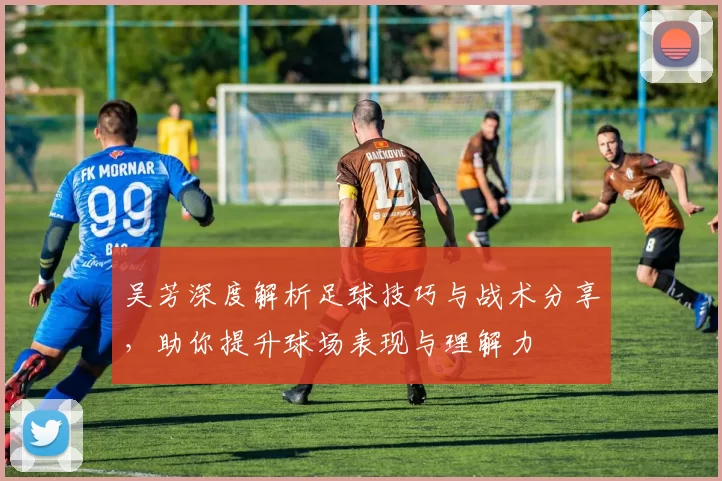 吴芳深度解析足球技巧与战术分享，助你提升球场表现与理解力