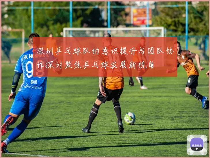 深圳乒乓球队的意识提升与团队协作探讨聚焦乒乓球发展新视角