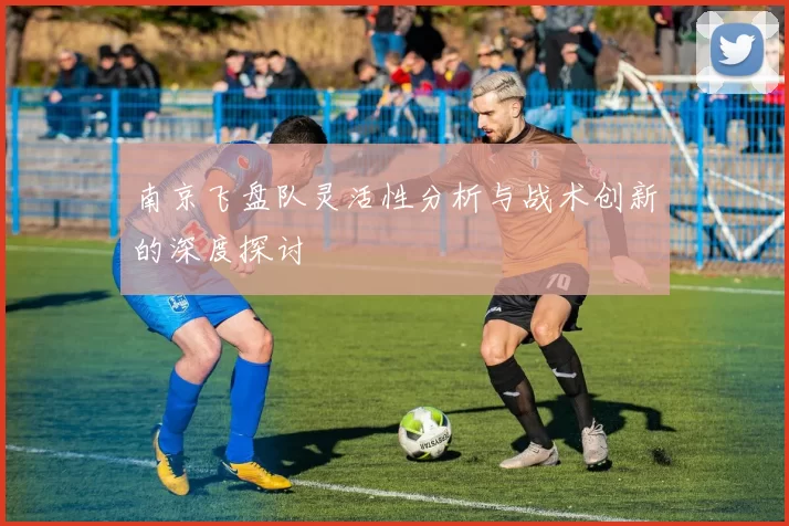 南京飞盘队灵活性分析与战术创新的深度探讨
