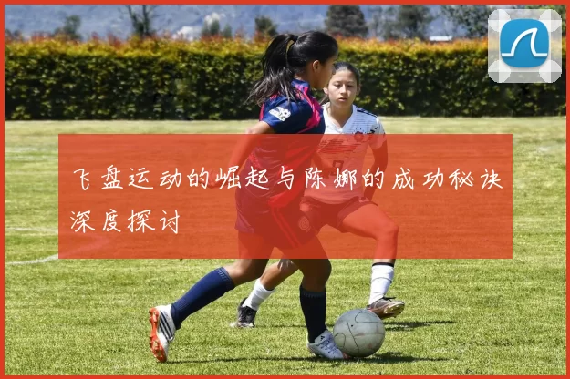 飞盘运动的崛起与陈娜的成功秘诀深度探讨