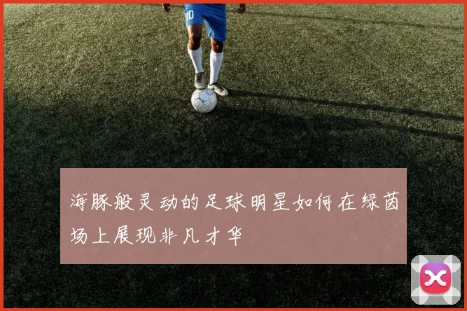 海豚般灵动的足球明星如何在绿茵场上展现非凡才华