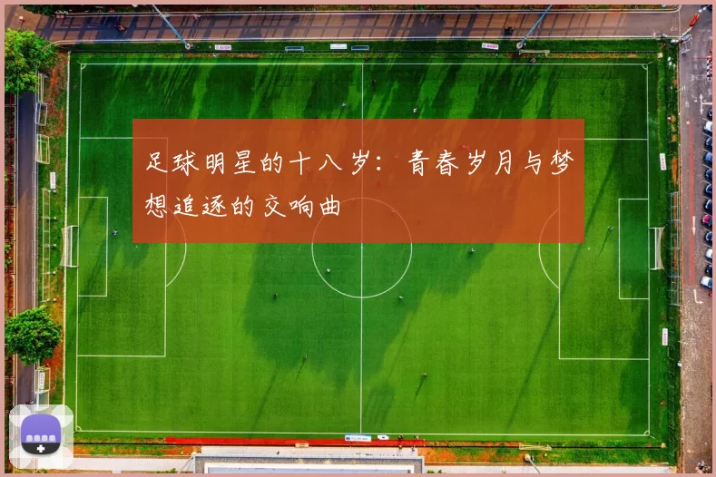 足球明星的十八岁：青春岁月与梦想追逐的交响曲
