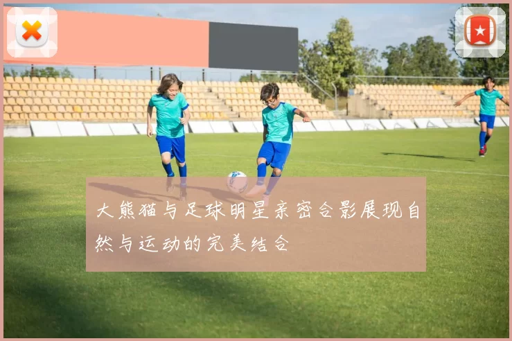 大熊猫与足球明星亲密合影展现自然与运动的完美结合