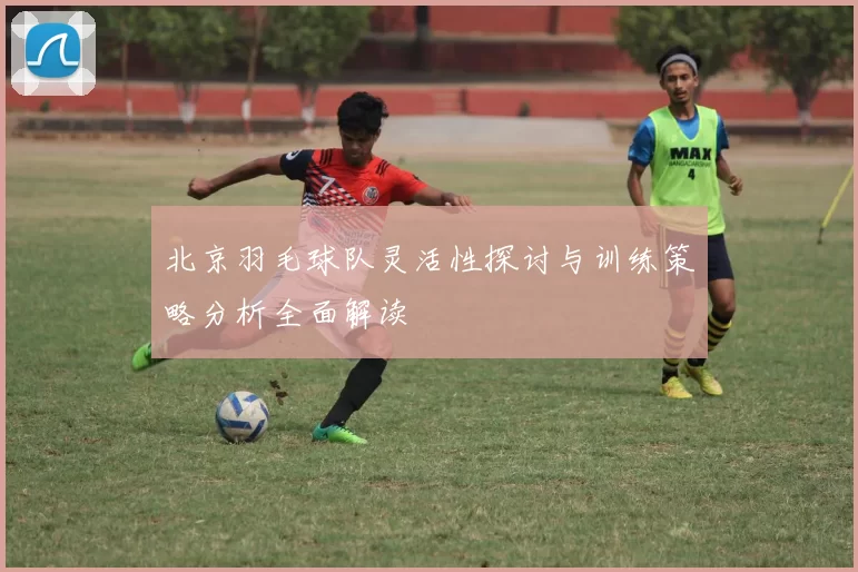 北京羽毛球队灵活性探讨与训练策略分析全面解读